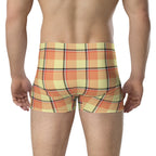 Claystone and Morning Mist Plaid Boxer Briefs - Scottish Squares