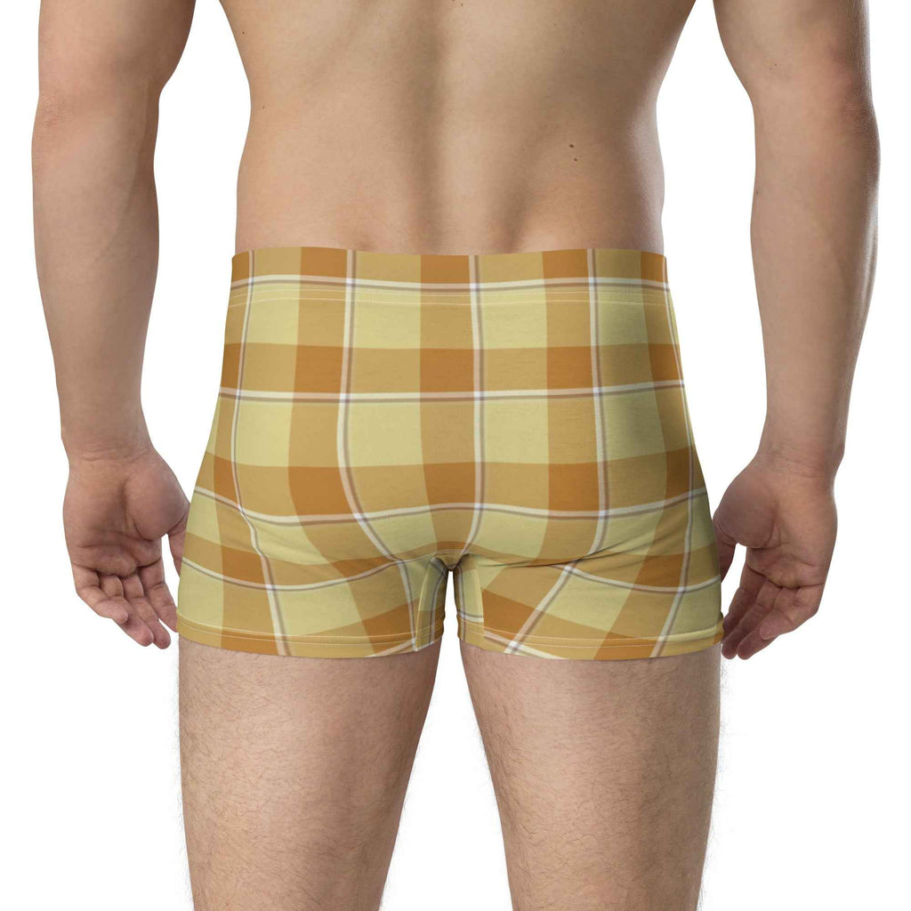 Zombie and Copper Plaid Boxer Briefs - Scottish Squares