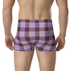 Light Wisteria and Livid Brown Plaid Boxer Briefs - Scottish Squares