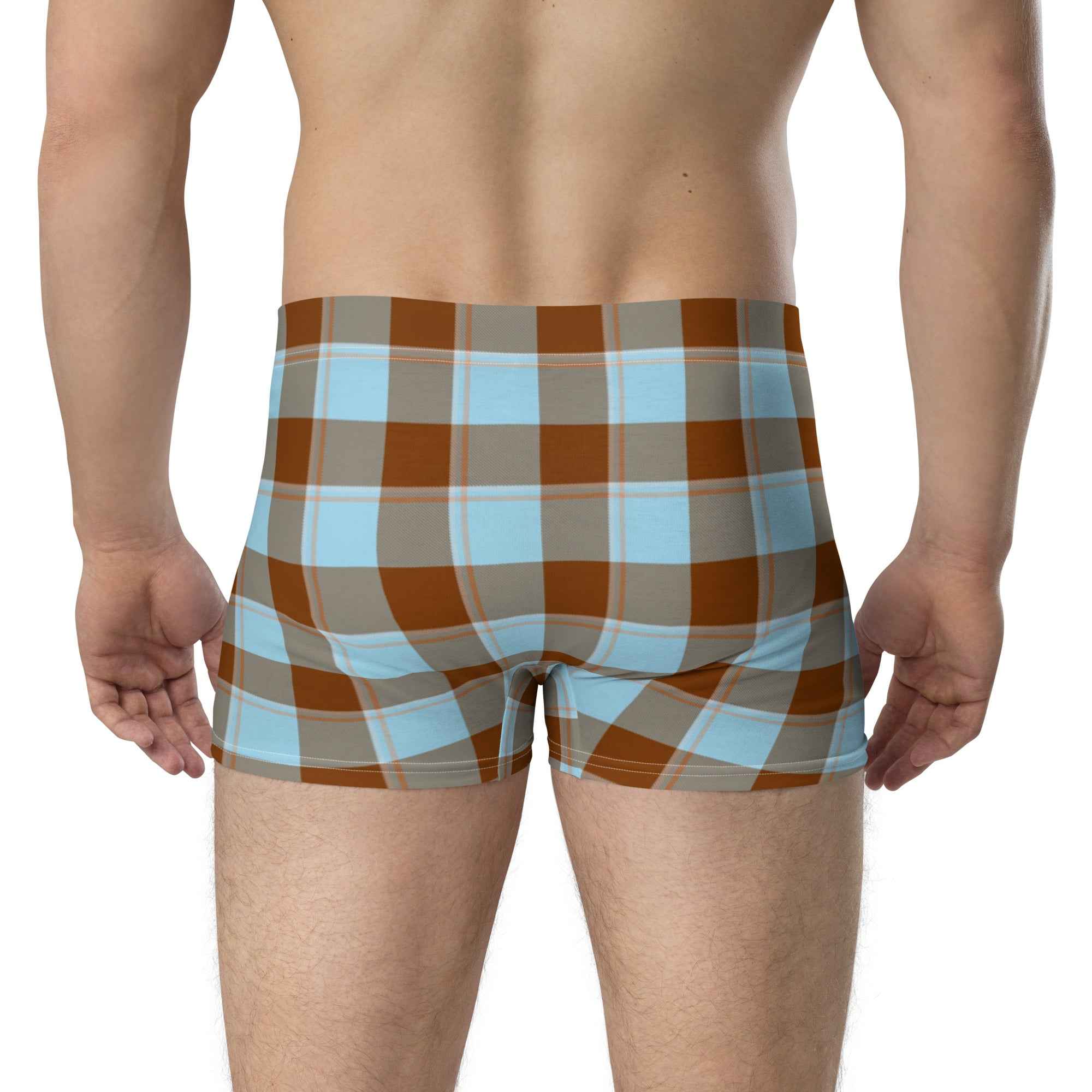 Blizzard Blue and Livid Brown Plaid Boxer Briefs - Scottish Squares