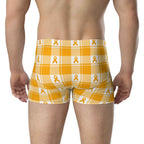 Boxer Briefs Kidney Cancer Awareness Plaid, Orange Ribbon, Supportive Gift - Scottish Squares