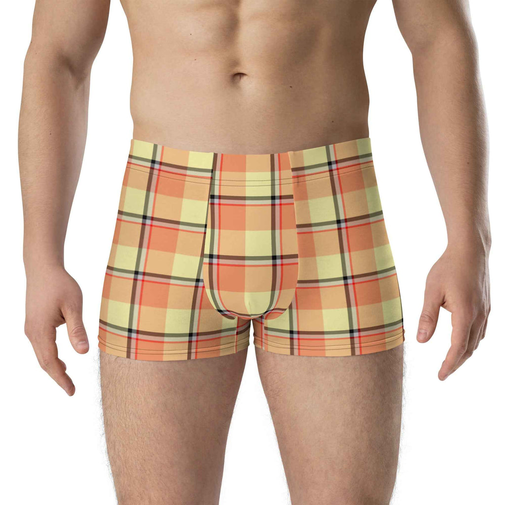 Claystone and Morning Mist Plaid Boxer Briefs - Scottish Squares