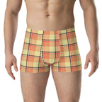 Claystone and Morning Mist Plaid Boxer Briefs - Scottish Squares