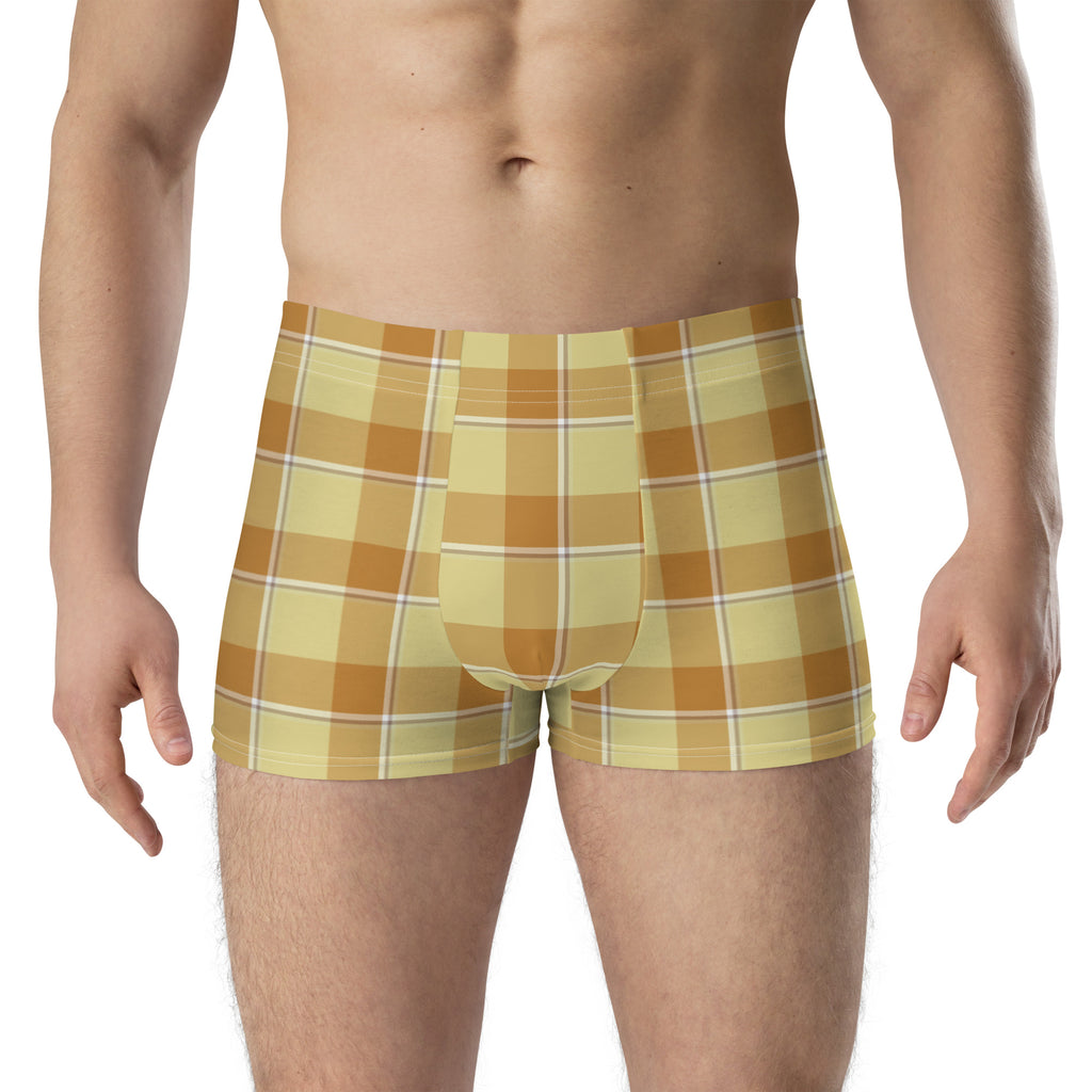 Zombie and Copper Plaid Boxer Briefs - Scottish Squares