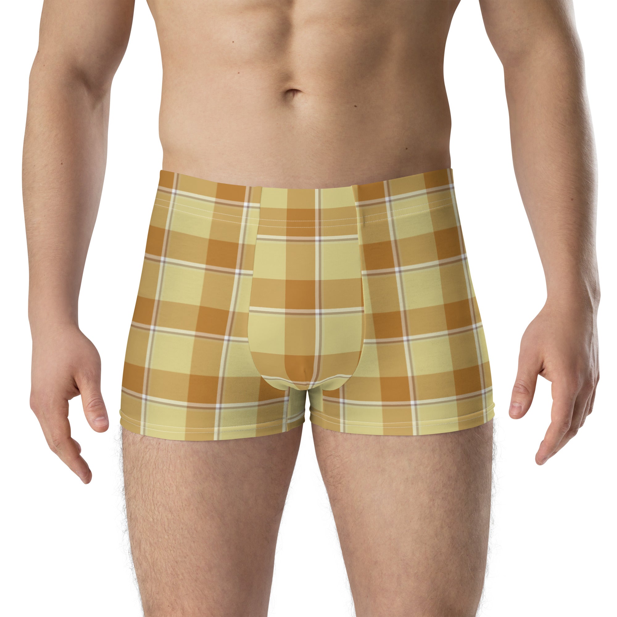 Zombie and Copper Plaid Boxer Briefs - Scottish Squares