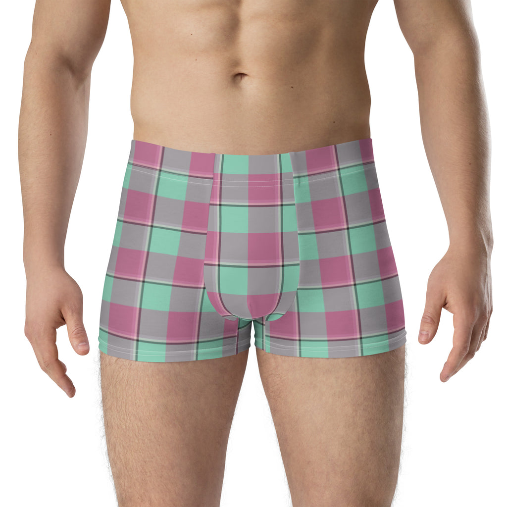 Vista Blue and Turkish Rose Plaid Boxer Briefs - Scottish Squares