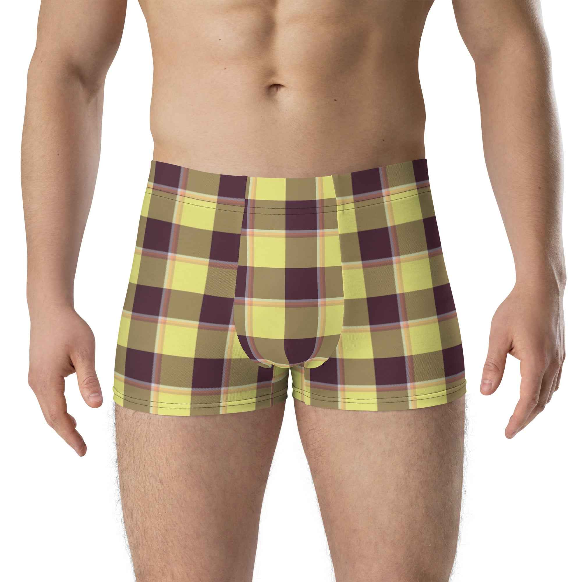 Flax and Livid Brown Plaid Boxer Briefs - Scottish Squares