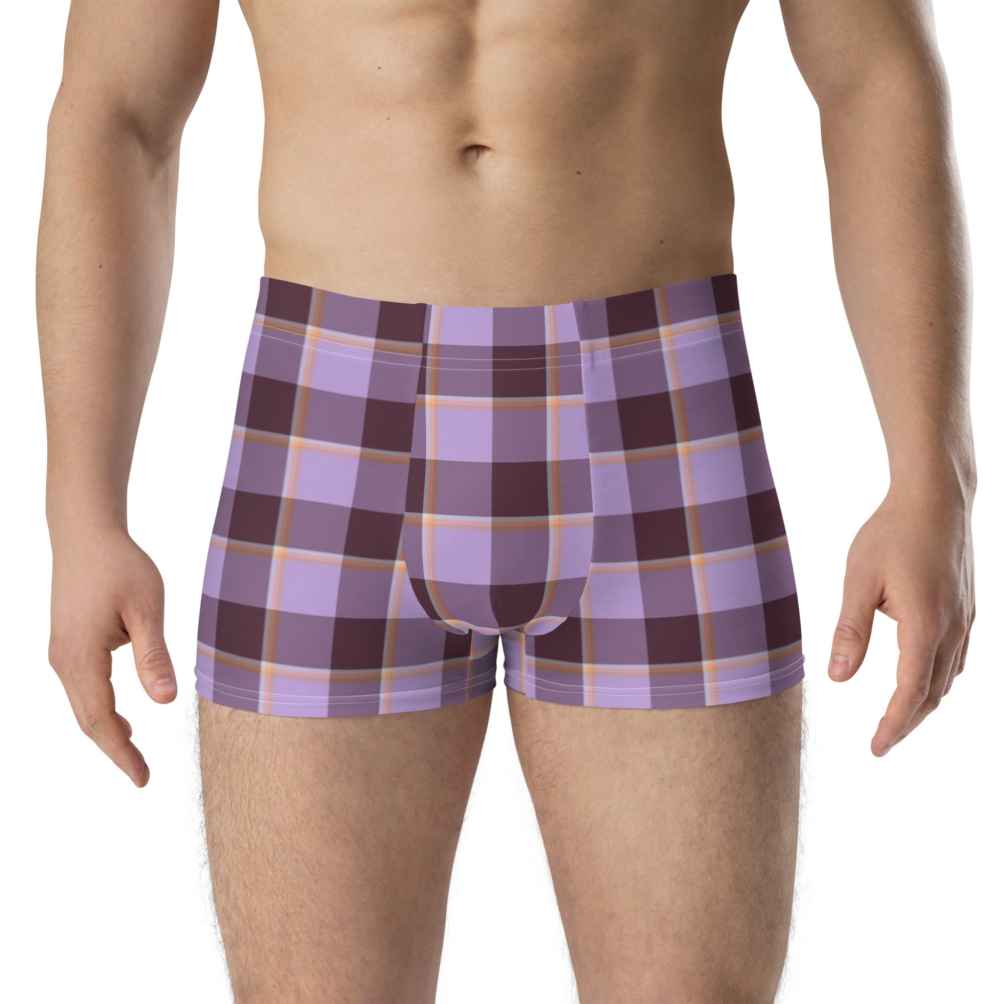 Light Wisteria and Livid Brown Plaid Boxer Briefs - Scottish Squares