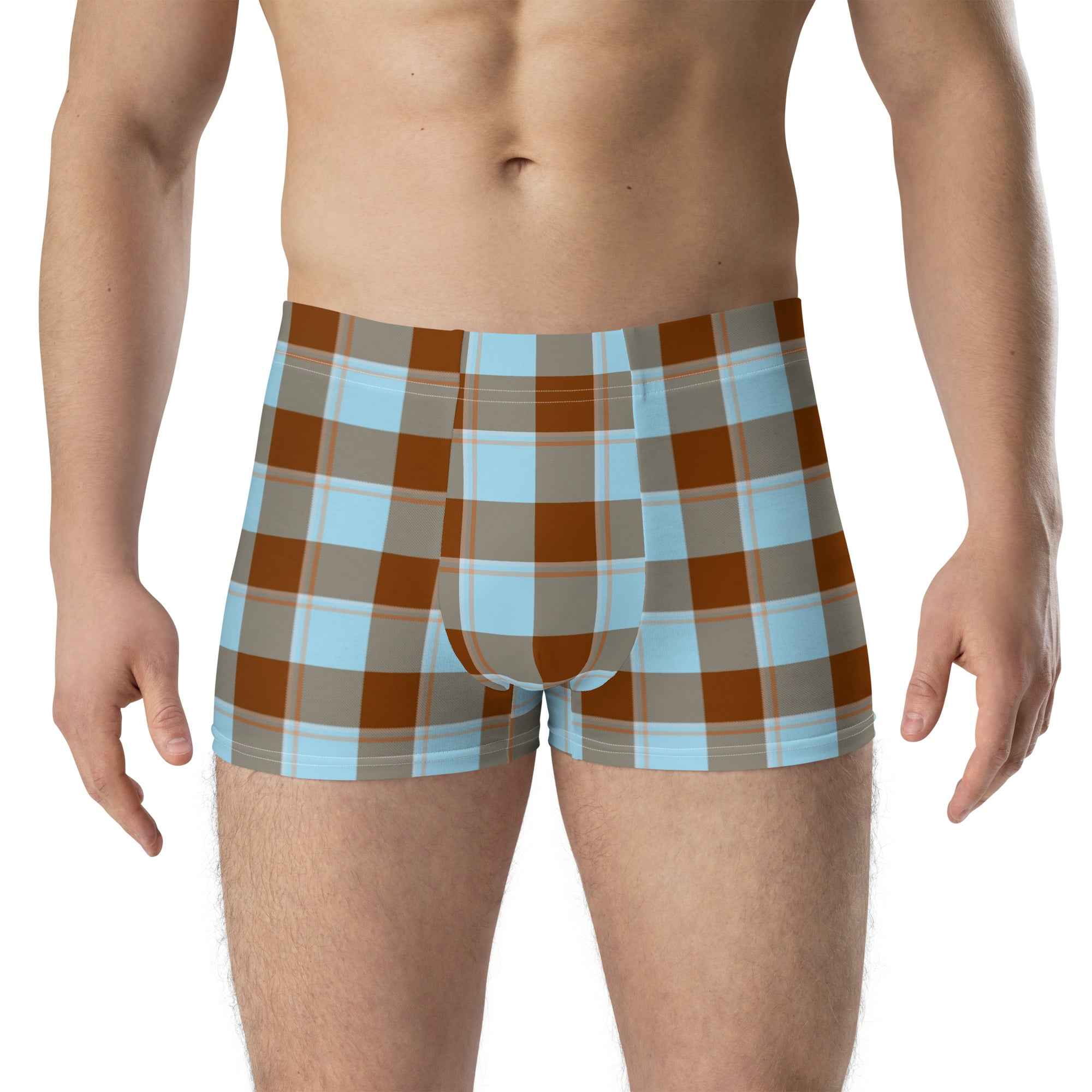 Blizzard Blue and Livid Brown Plaid Boxer Briefs - Scottish Squares