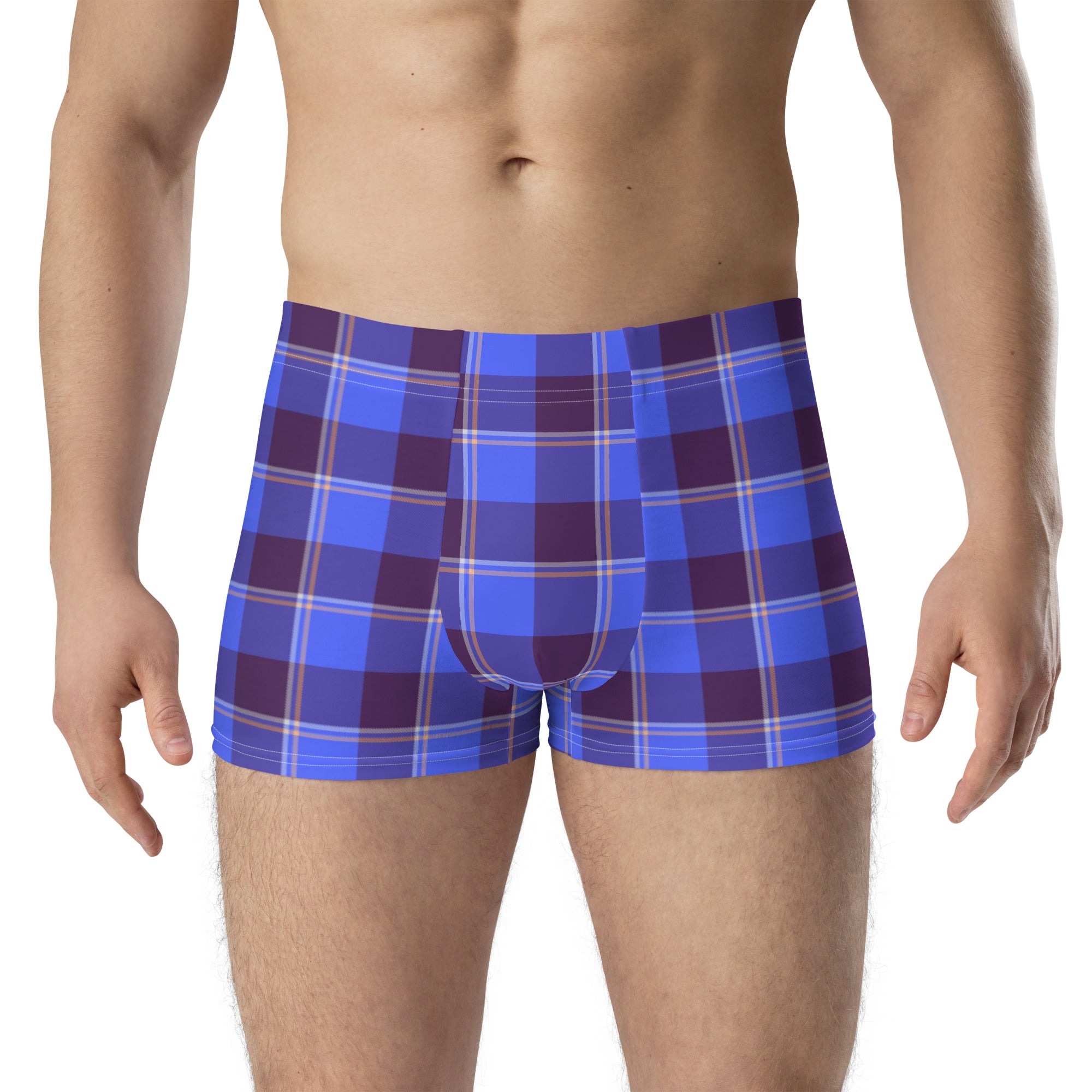 Cornflower Blue and Livid Brown Plaid Boxer Briefs - Scottish Squares