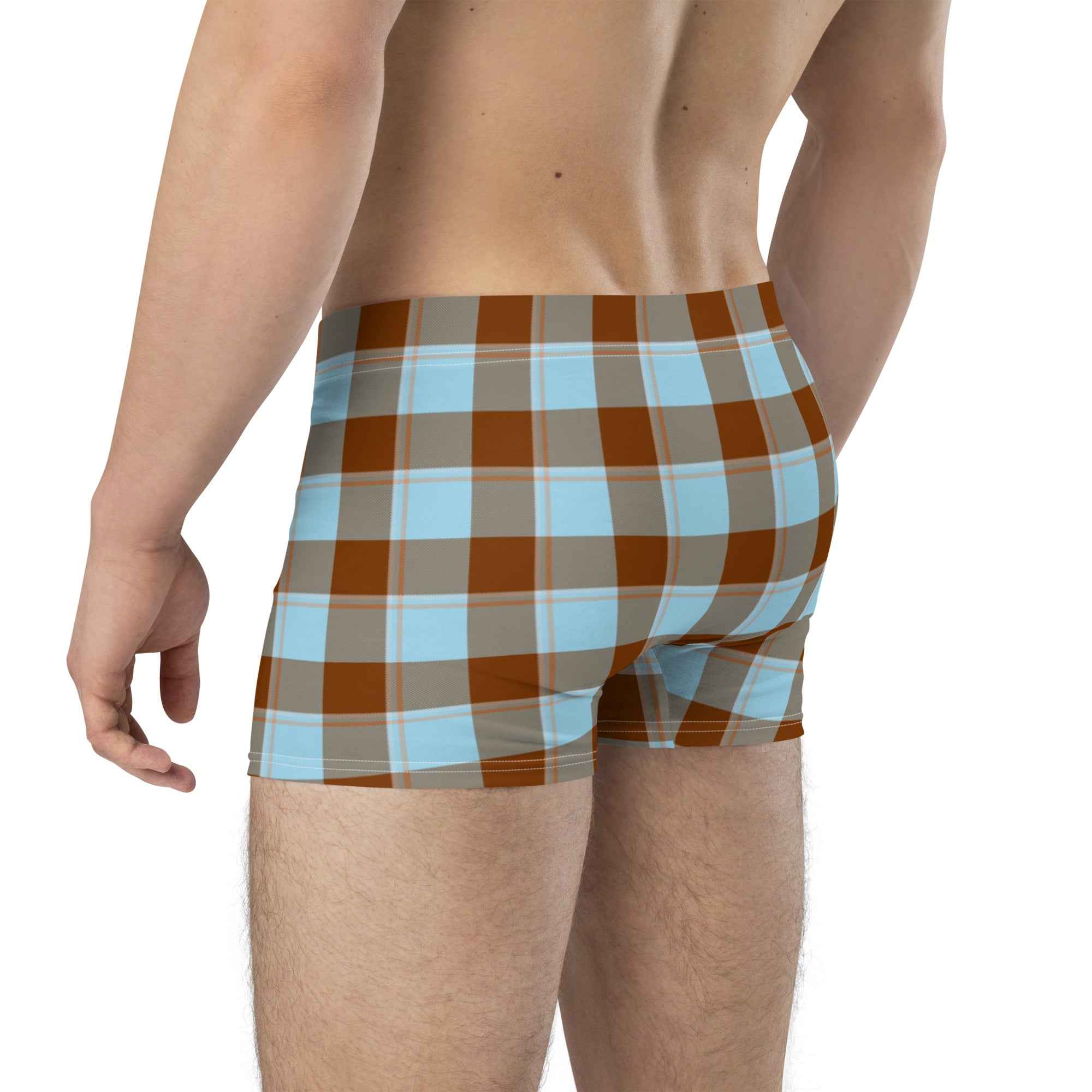 Blizzard Blue and Livid Brown Plaid Boxer Briefs - Scottish Squares