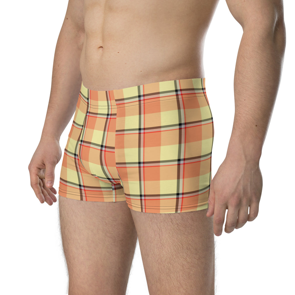 Claystone and Morning Mist Plaid Boxer Briefs - Scottish Squares