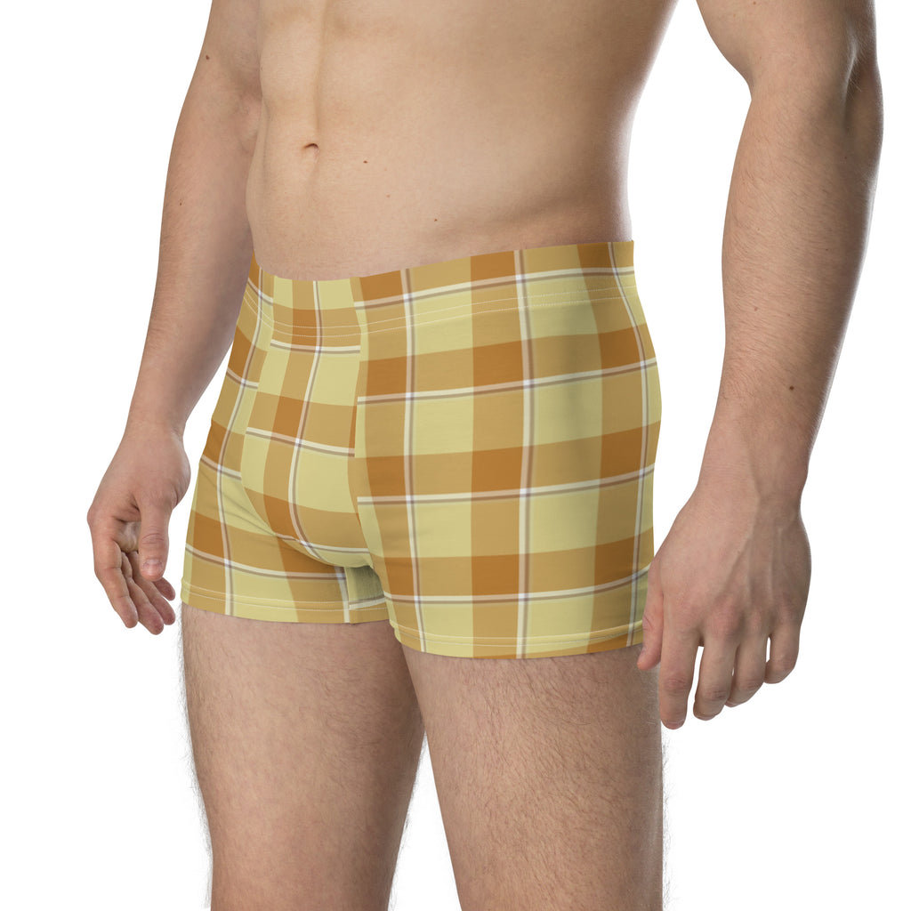 Zombie and Copper Plaid Boxer Briefs - Scottish Squares