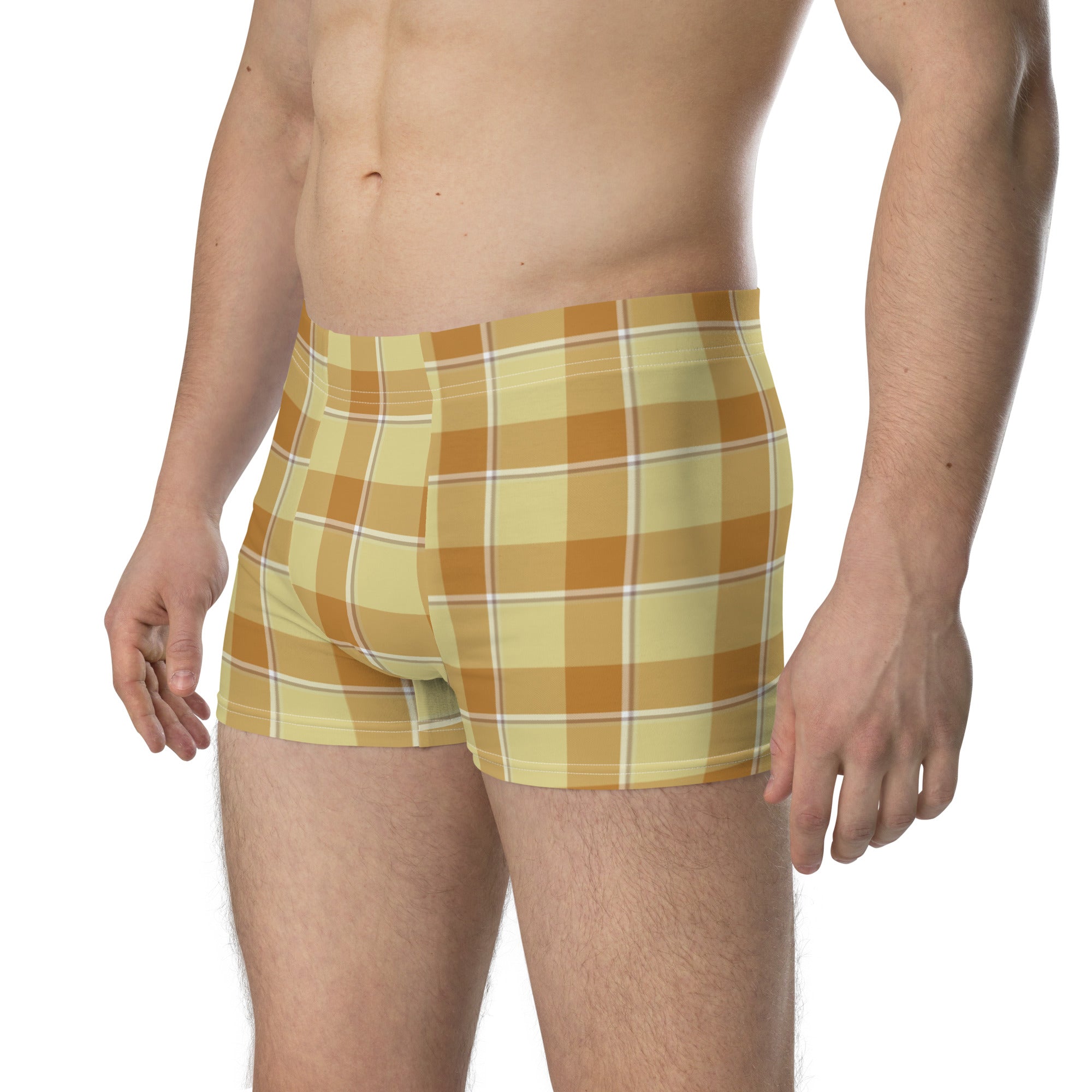 Zombie and Copper Plaid Boxer Briefs - Scottish Squares