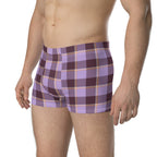 Light Wisteria and Livid Brown Plaid Boxer Briefs - Scottish Squares