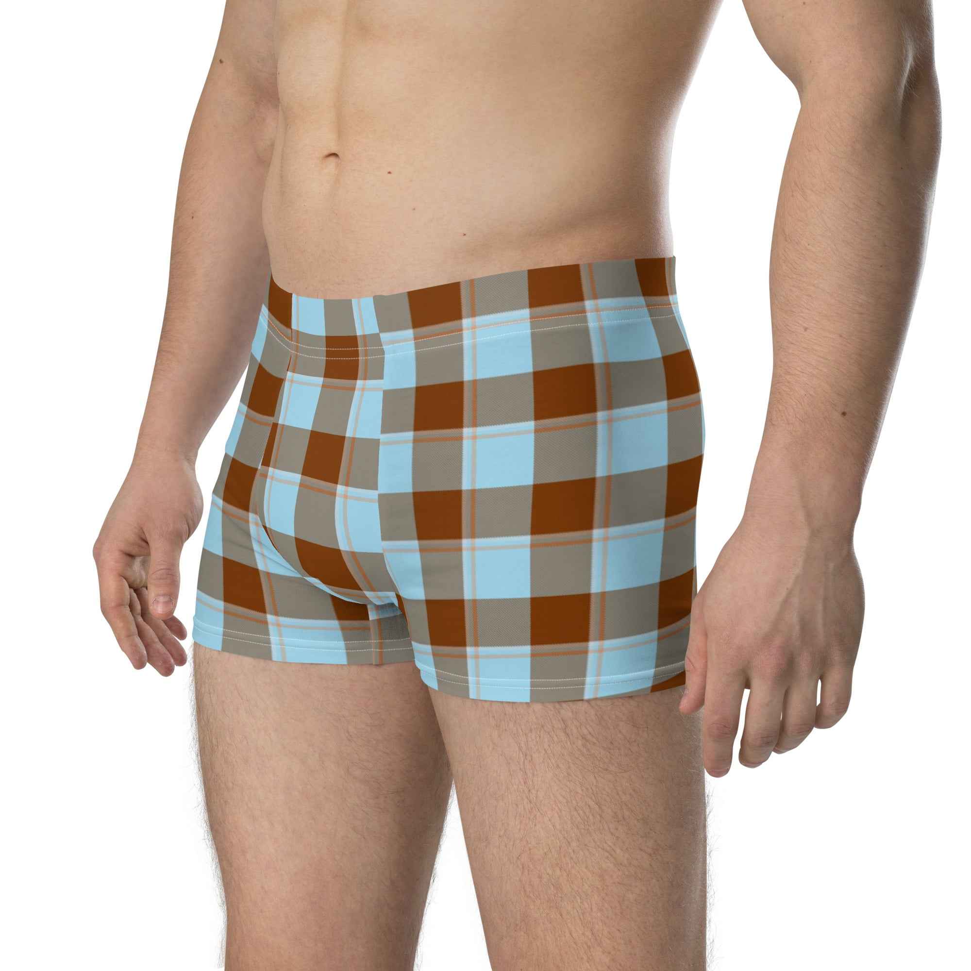 Blizzard Blue and Livid Brown Plaid Boxer Briefs - Scottish Squares