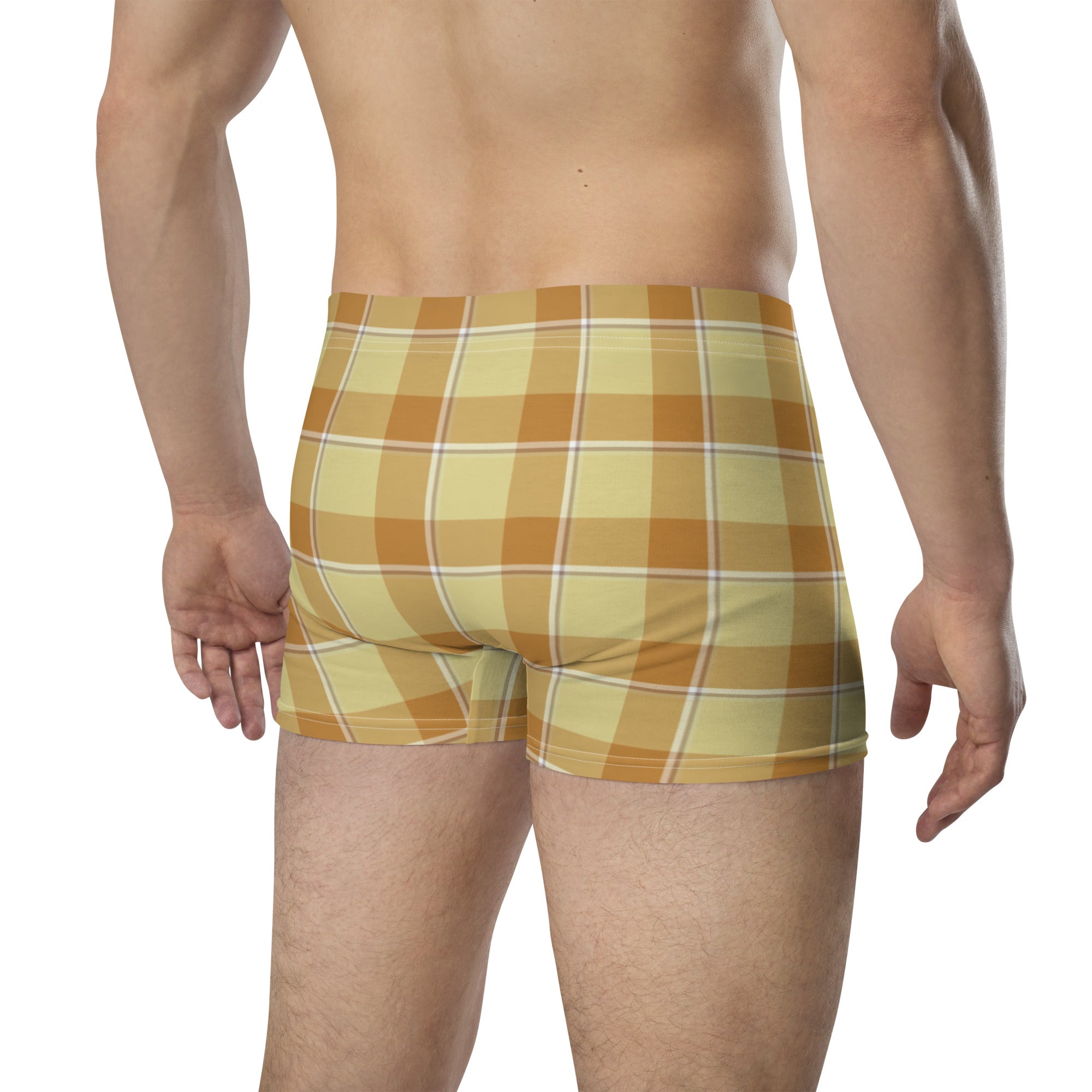 Zombie and Copper Plaid Boxer Briefs - Scottish Squares