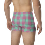 Vista Blue and Turkish Rose Plaid Boxer Briefs - Scottish Squares