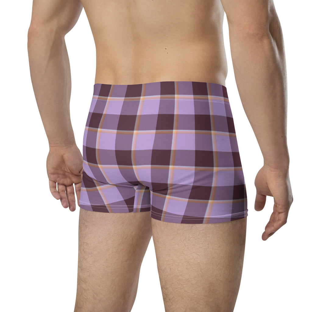 Light Wisteria and Livid Brown Plaid Boxer Briefs - Scottish Squares