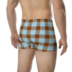 Blizzard Blue and Livid Brown Plaid Boxer Briefs - Scottish Squares