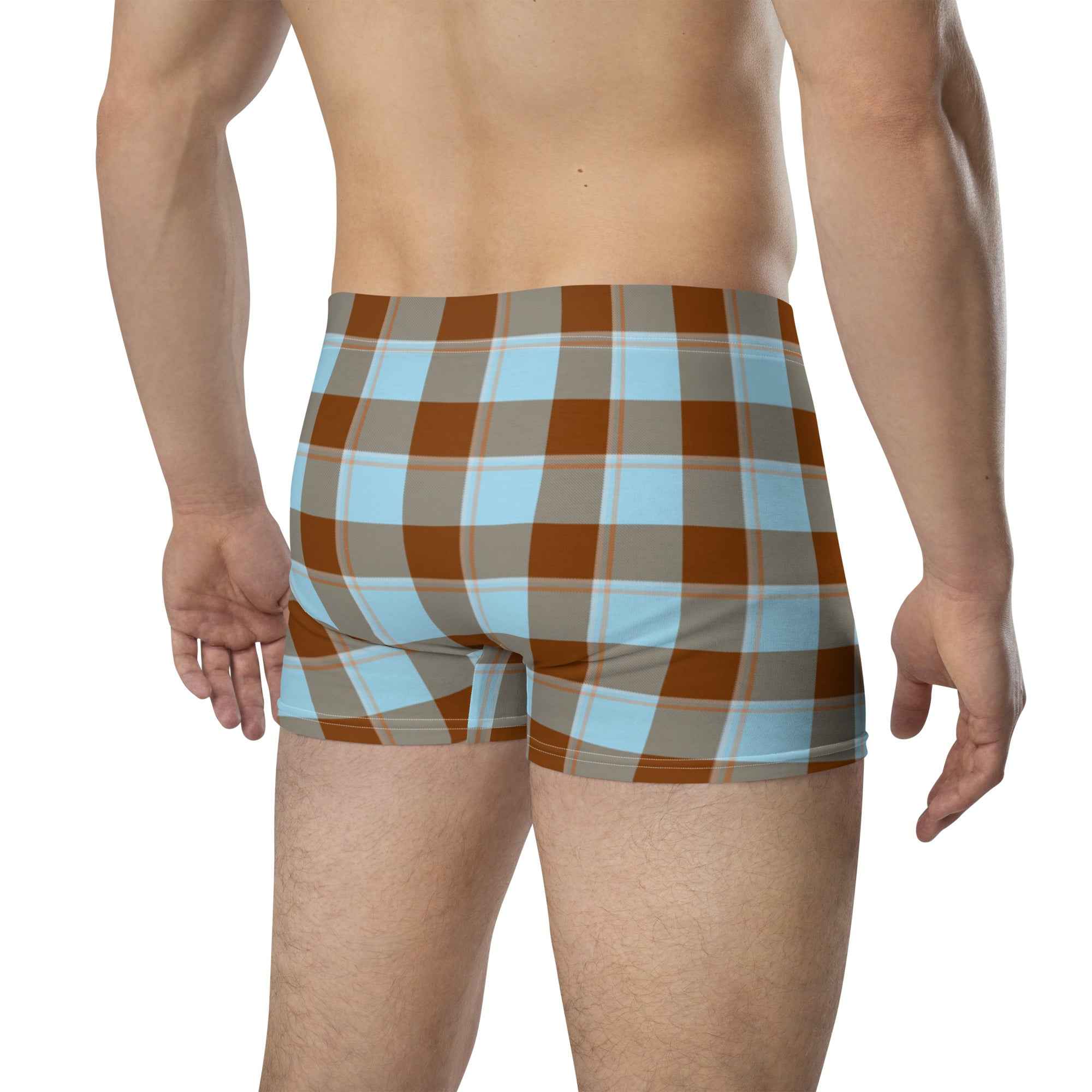 Blizzard Blue and Livid Brown Plaid Boxer Briefs - Scottish Squares