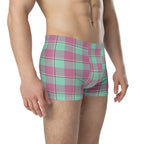 Vista Blue and Turkish Rose Plaid Boxer Briefs - Scottish Squares