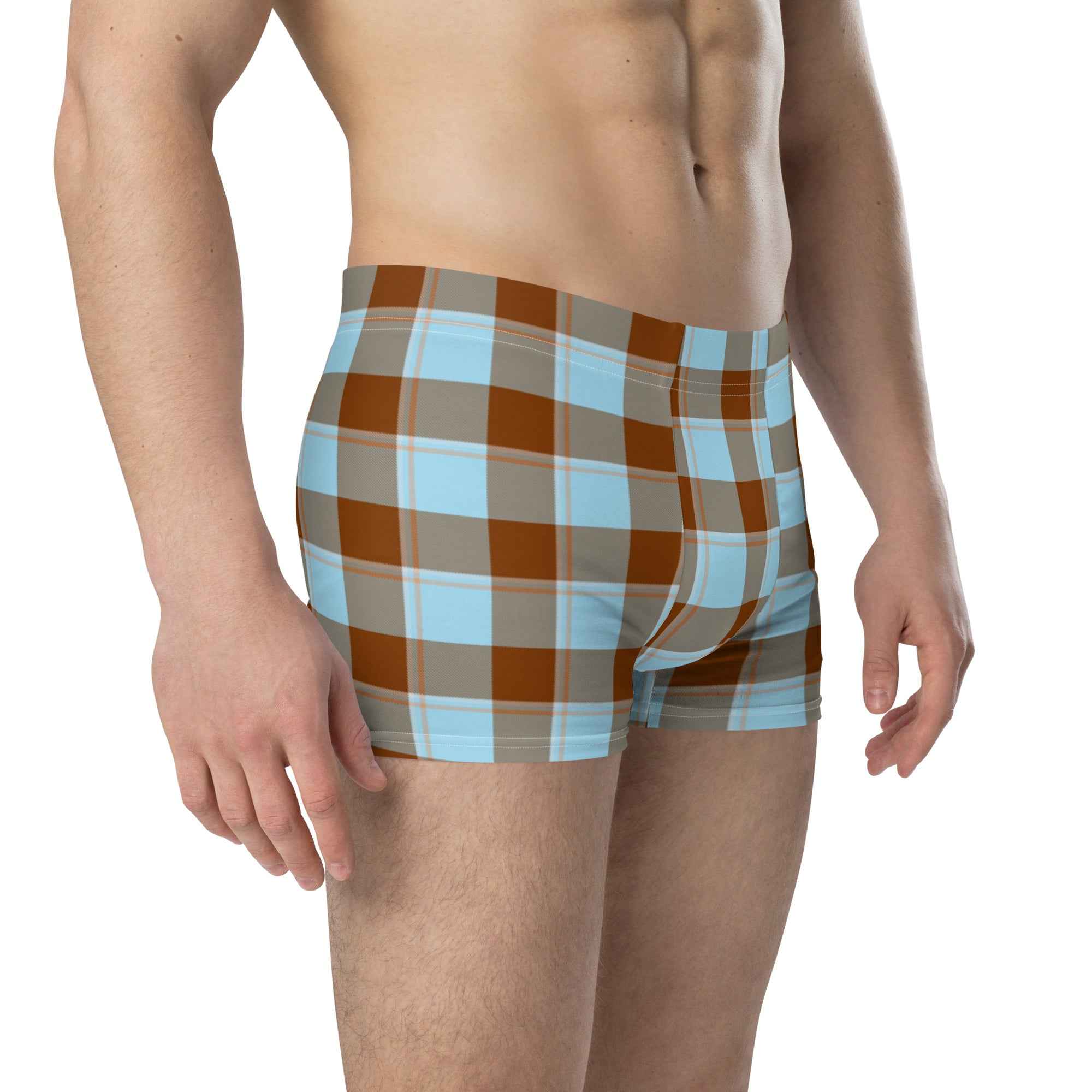 Blizzard Blue and Livid Brown Plaid Boxer Briefs - Scottish Squares
